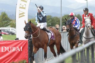 Volks Lightning (NZ) claiming the $50,000 Listed gavelhouse.com Lightning Handicap. Photo: Trish Dunell